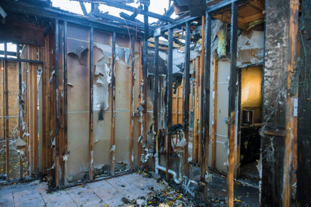 Professional Fire Damage Removal technician working in Gardner, KS